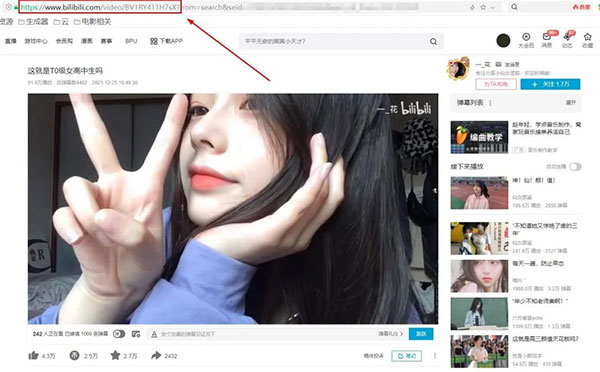 hitomi downloader(视频下载工具) v4.2.0.0官方版 hitomi downloader(视频下载工具) v4.2.0.0官方版
