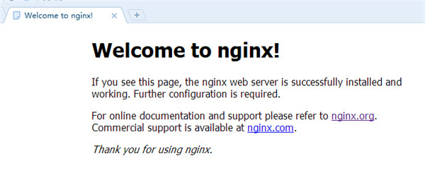 nginx windows电脑端 v1.25.2