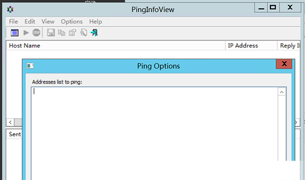 pinginfoview中文版 v3.20