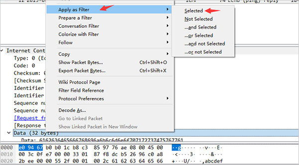 wireshark中文版 v4.6.2 wireshark中文版 v4.6.2