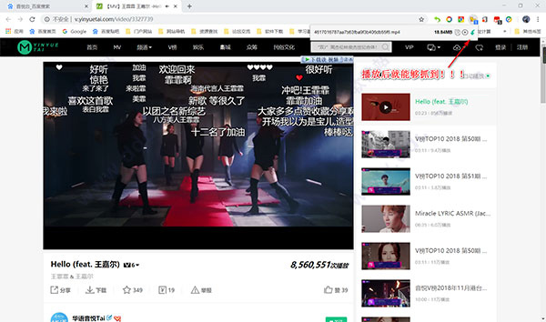 猫爪插件官方版 v2.6.3