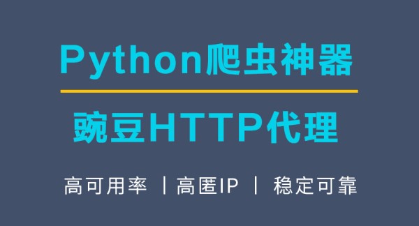 豌豆IP电脑版 v1.1.4.2